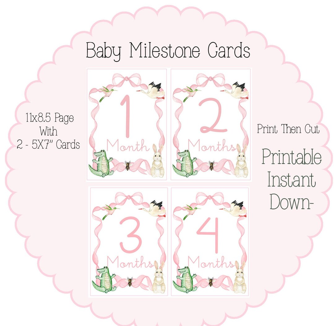 Printable Milestone Cards, Girl Milestone Cards, Pink Milestone Cards, Baby Milestone Cards ...