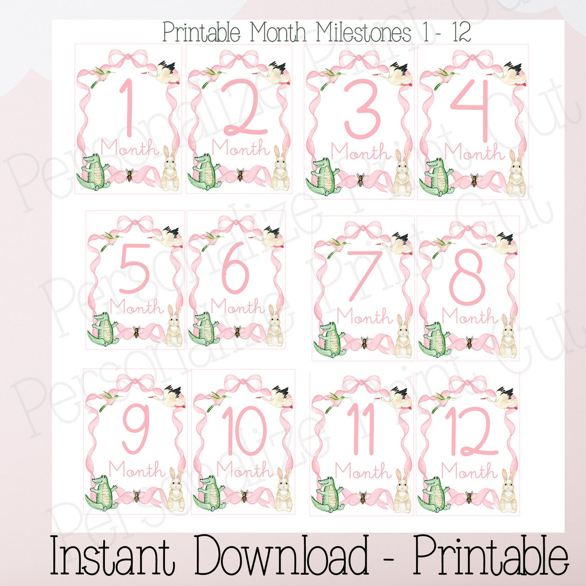 Printable Milestone Cards, Girl Milestone Cards, Pink Milestone Cards, Baby Milestone Cards ...
