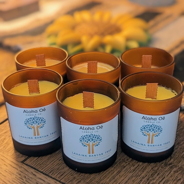 Lahaina Banyan Tree Candle !! Long live the Banyan Tree !! Help support the people of Lahaina by purchasing  this candle. #lahainastrong