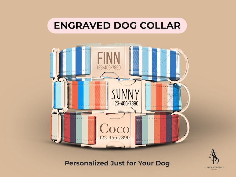 Striped Dog Collar, Personalized Summer Dog Collar, Cute Puppy Collar, Boy or Girl Dog Collar, Custom Beach Dog Collar with Leash (ASD-015) 画像 1