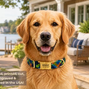 May include: A golden retriever wearing a multi-colored plaid dog collar with a gold-toned metal buckle. The buckle is engraved with the name WINNIE and the phone number 123-456-7890. The collar features a repeating pattern of blue, green, and orange.
