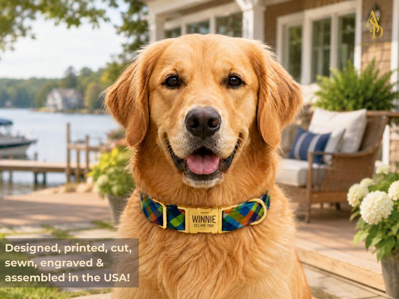 May include: A golden retriever wearing a multi-colored plaid dog collar with a gold-toned metal buckle. The buckle is engraved with the name WINNIE and the phone number 123-456-7890. The collar features a repeating pattern of blue, green, and orange.