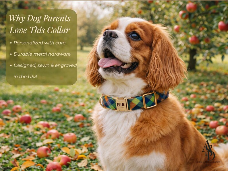 May include: A dog collar featuring a multi-colored plaid pattern in shades of blue, green, and orange, equipped with gold-toned metal hardware and a central rectangular nameplate engraved with the name ELLIE in capital letters.