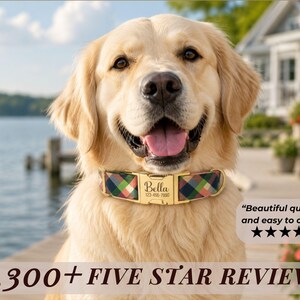 May include: A golden retriever wearing a plaid dog collar with a gold-toned metal buckle. The buckle is engraved with the name Bella and the phone number 123-456-7890. The text 1,300+ FIVE STAR REVIEWS and a five-star rating are visible.