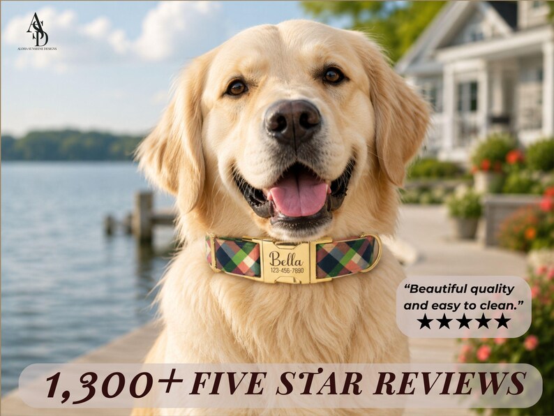 May include: A golden retriever wearing a plaid dog collar with a gold-toned metal buckle. The buckle is engraved with the name Bella and the phone number 123-456-7890. The text 1,300+ FIVE STAR REVIEWS and a five-star rating are visible.