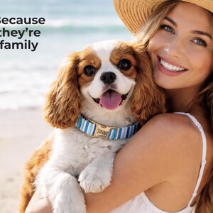 以下が含まれることがあります： 茶色と白の毛並みのキャバリア・キング・チャールズ・スパニエル犬。青と白のストライプの首輪をしており、金色のネームタグには「Sunny」と書かれています。犬は人に抱かれています。「Because they're family」と書かれたテキスト。