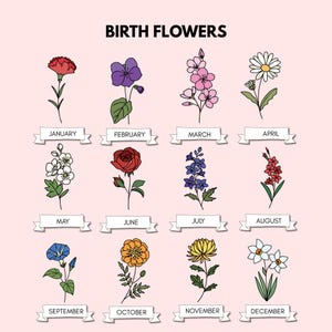May include: A chart showing the birth flowers for each month of the year. The flowers are illustrated in black and white line art. January: Carnation, February: Violet, March: Lily of the Valley, April: Daisy, May: Hawthorn, June: Rose, July: Larkspur, August: Gladiolus, September: Morning Glory, October: Marigold, November: Chrysanthemum, December: Narcissus.