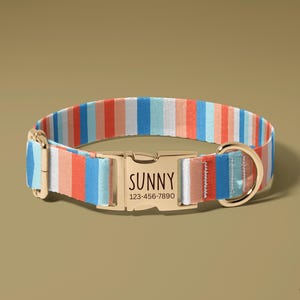 以下が含まれることがあります： 金色のバックルと金具が付いた、カラフルなストライプの犬用首輪。「SUNNY」という名前と電話番号が表示されています。ストライプは青、オレンジ、白の色合いです。長さは約30cmです。