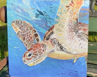 May include: A close-up of a sea turtle swimming underwater. The turtle is brown and green with a light blue background. The turtle's head is turned to the side and its eyes are open.