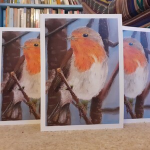 Cinq cartes de voeux Robin / Cartes de Noël / Cartes Robin / 7 x 5 pouces / Bordure / Blanc à l'intérieur / Art original / Art d'oiseau / Dessin au pastel