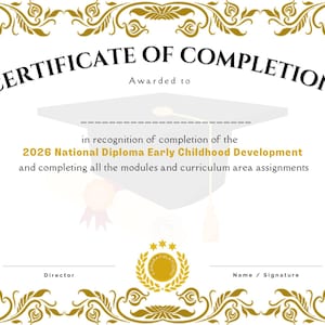 Editable Teacher Certificate of Completion Template: Canva (US Letter Size) (Digital Download