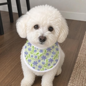 May include: A small white dog with fluffy fur wearing a pet bandana. The bandana features a light green background with a repeating pattern of small purple flowers and thin green stems, finished with a solid white fabric border around the edge.
