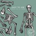 Printable Skeleton Vintage Halloween Digital Download Easy - Etsy