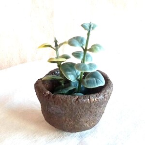 Mame bonsai-kruka Kusamono diam 4cm stengods handgjord unik.