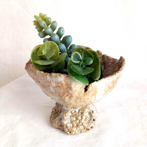 Peut inclure: Un petit bol en céramique beige texturé avec un socle, rempli de succulentes vertes artificielles. Le bol a une forme rugueuse et organique et repose sur une surface texturée blanc cassé.