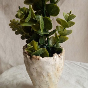 Op de afbeelding: Een kleine potplant met heldergroene bladeren. De plant staat in een getextureerde, gebroken witte keramische pot. De pot heeft een rustieke, handgemaakte uitstraling, wat een vleugje natuurlijke charme aan het geheel toevoegt.