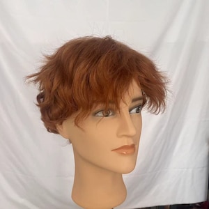 Brown Curly Short Synthetic Wig: Cosplay Costume Wig for men