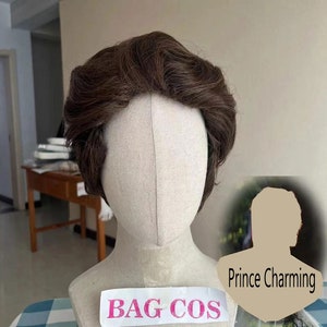 Wigs Prince Charming wigs Cosplay Wigs Costume Wigs brown short Wavy curly wigs Halloween Costume Wigs Synthetic Wigs Movie Character Wigs