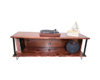 Wood Vinyl Record Storage Console with Back Panel