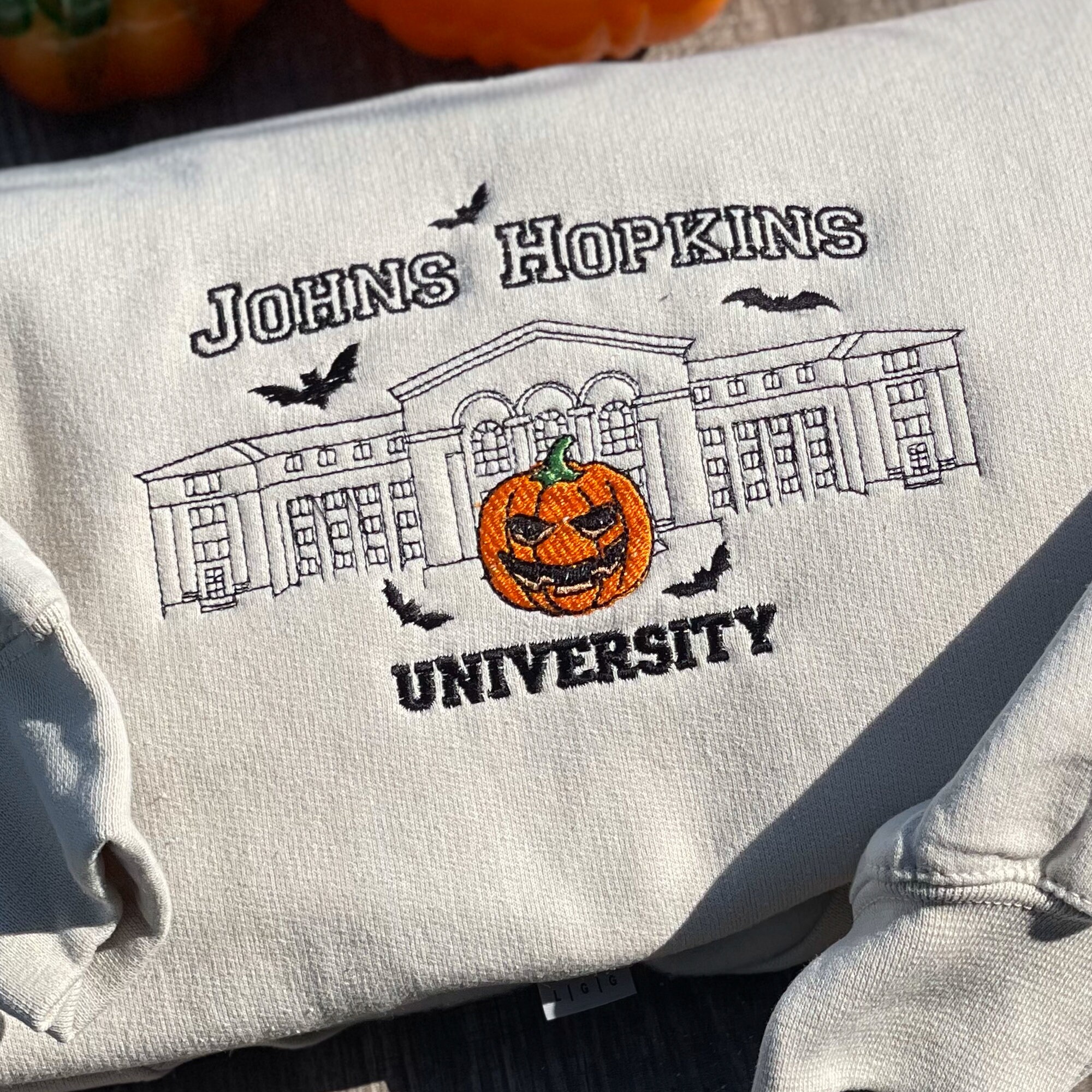 Discover Halloween University Sweatshirt,  Embroidery Pumpkin Hoodie