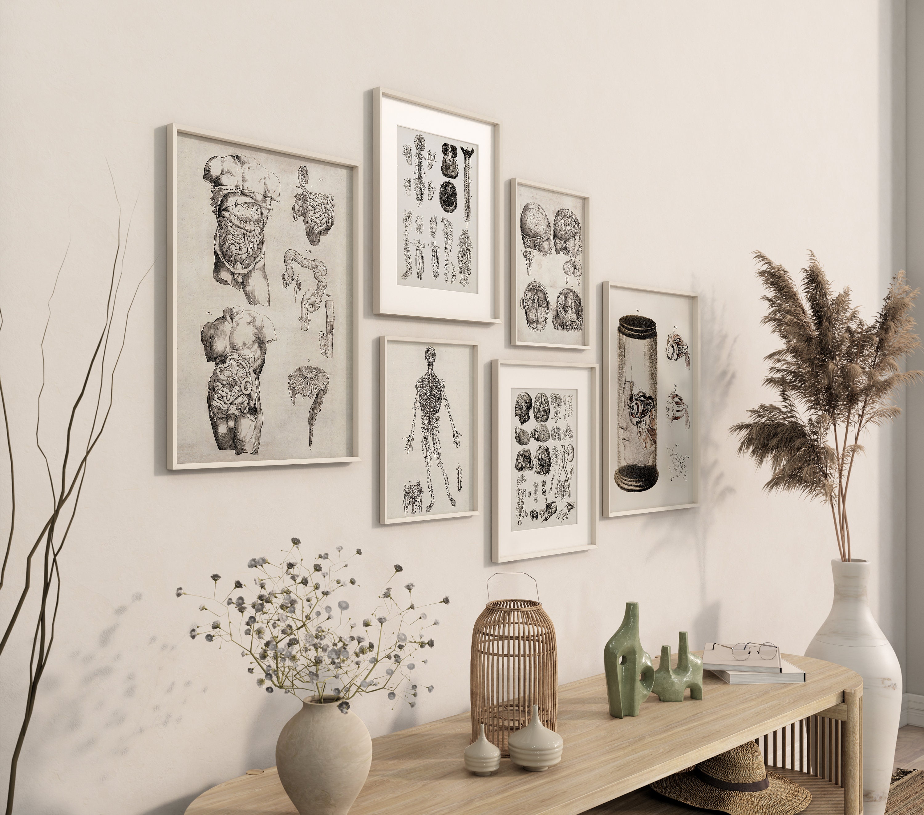 Digital Download Print Gallery Wall Art Set Vintage Human - Etsy