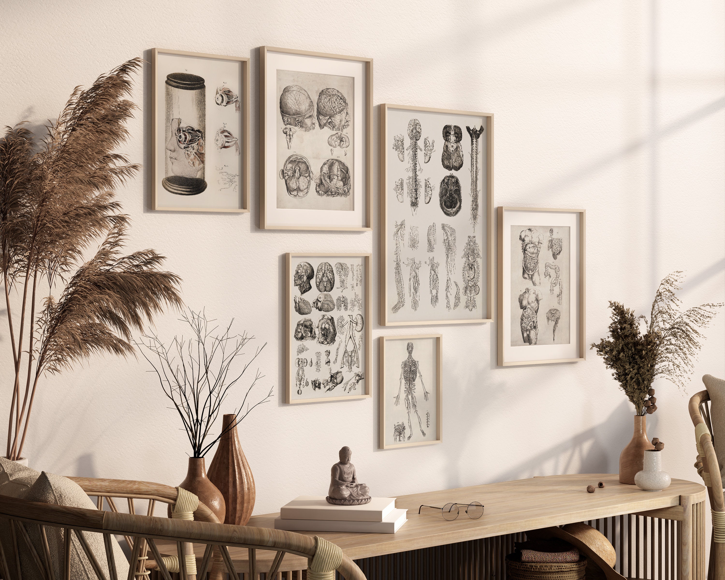Vintage Human Anatomy Art Print Set | Antique Medical Gallery (digital ...