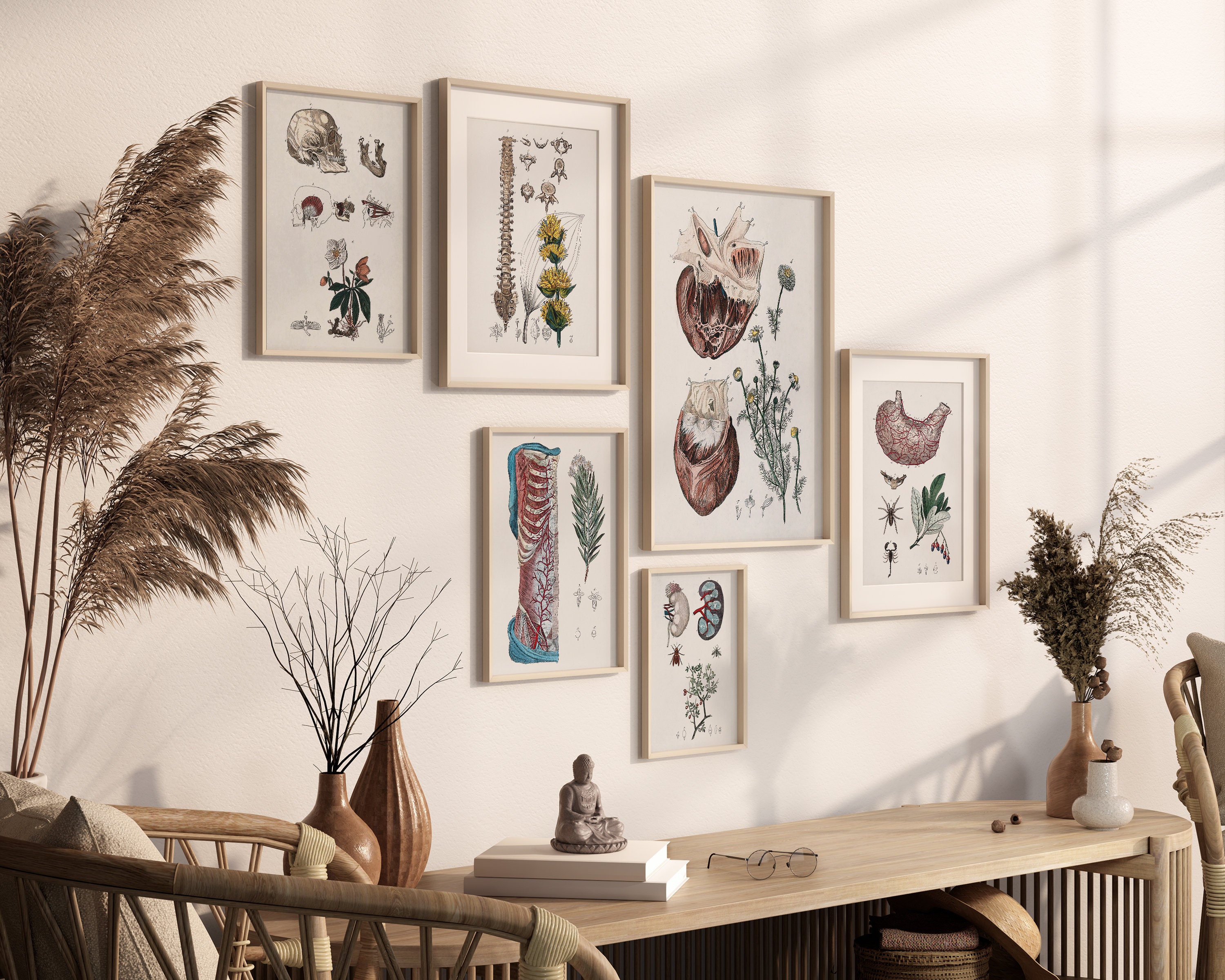 Digital Download Print | Gallery Wall Art Set Vintage Human Anatomy ...