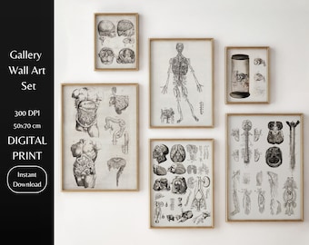 Téléchargement numérique Impression | Ensemble d'art mural vintage d'anatomie humaine, impression d'art antique de biologie anatomique médicale | Grande oeuvre d'art murale imprimable