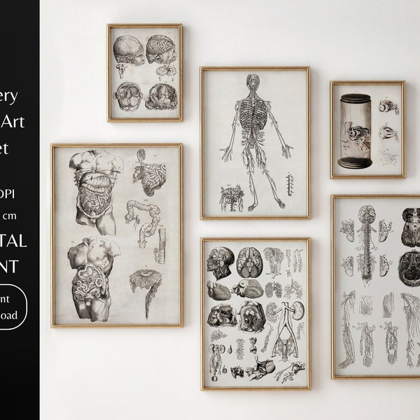 Digital Download Print | Gallery Wall Art Set Vintage Human Anatomy Antique Medical Anatomical Biology Art Print | Large Printable Wall Art