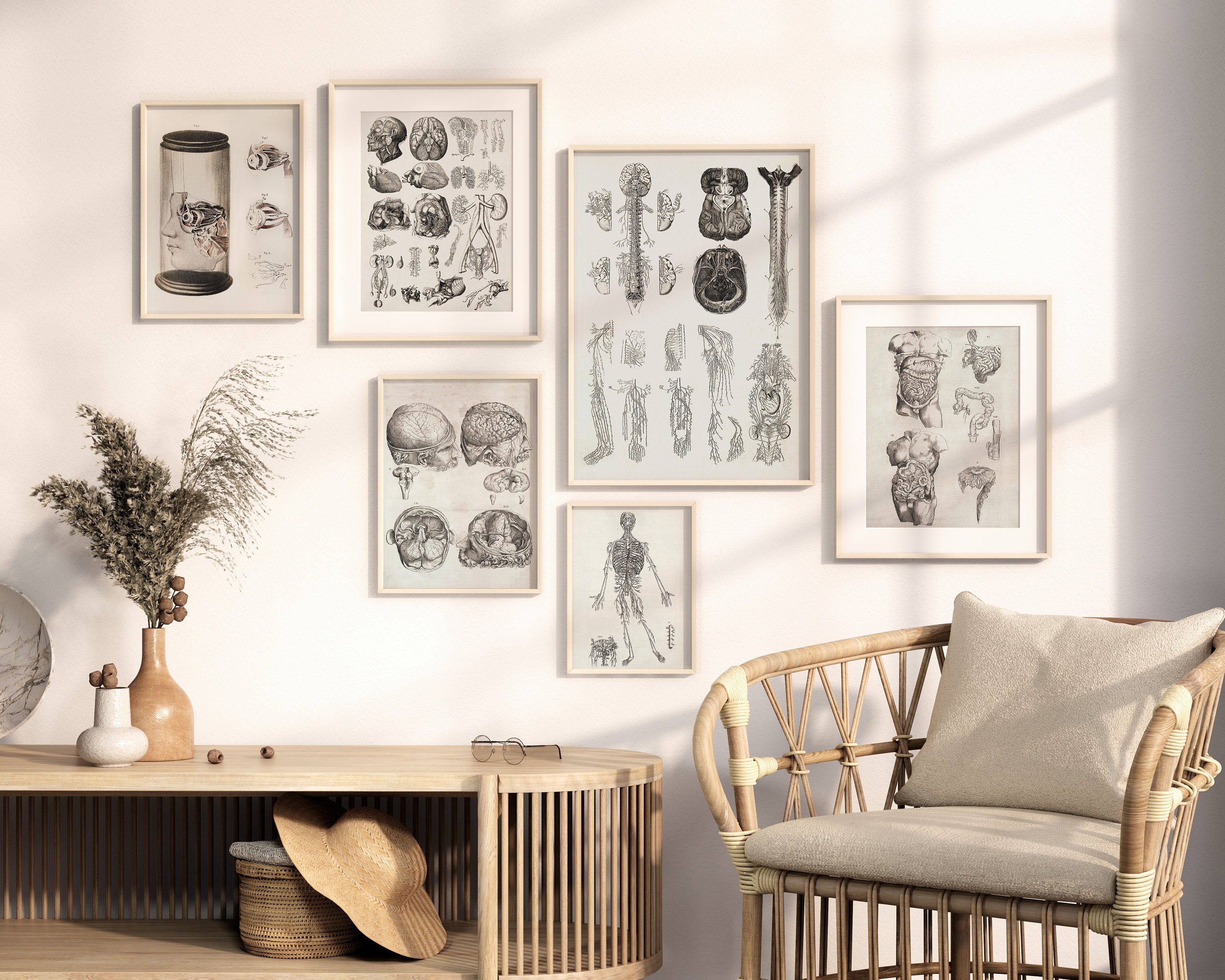 Vintage Human Anatomy Art Print Set | Antique Medical Gallery (digital ...
