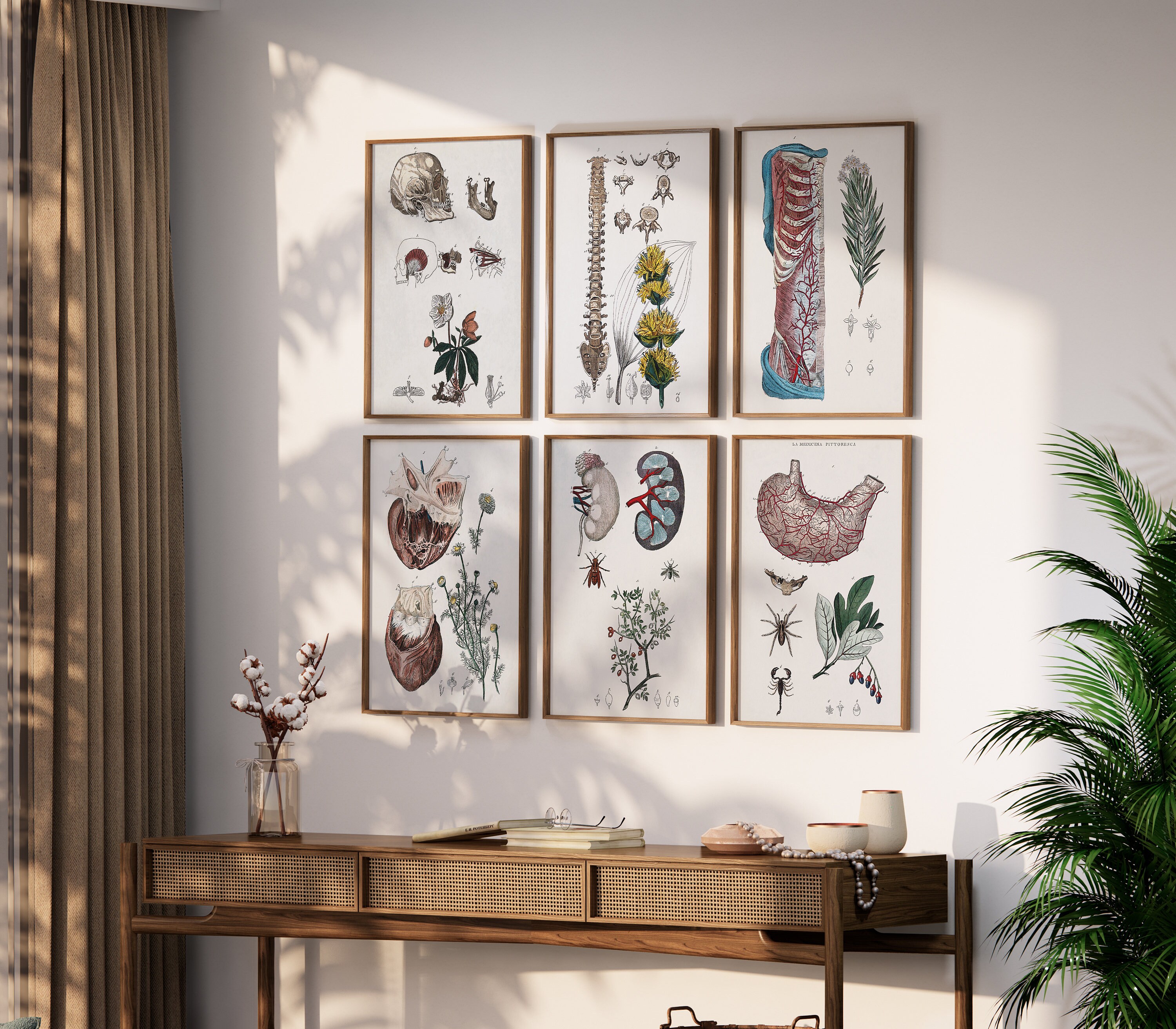 Digital Download Print | Gallery Wall Art Set Vintage Human Anatomy ...