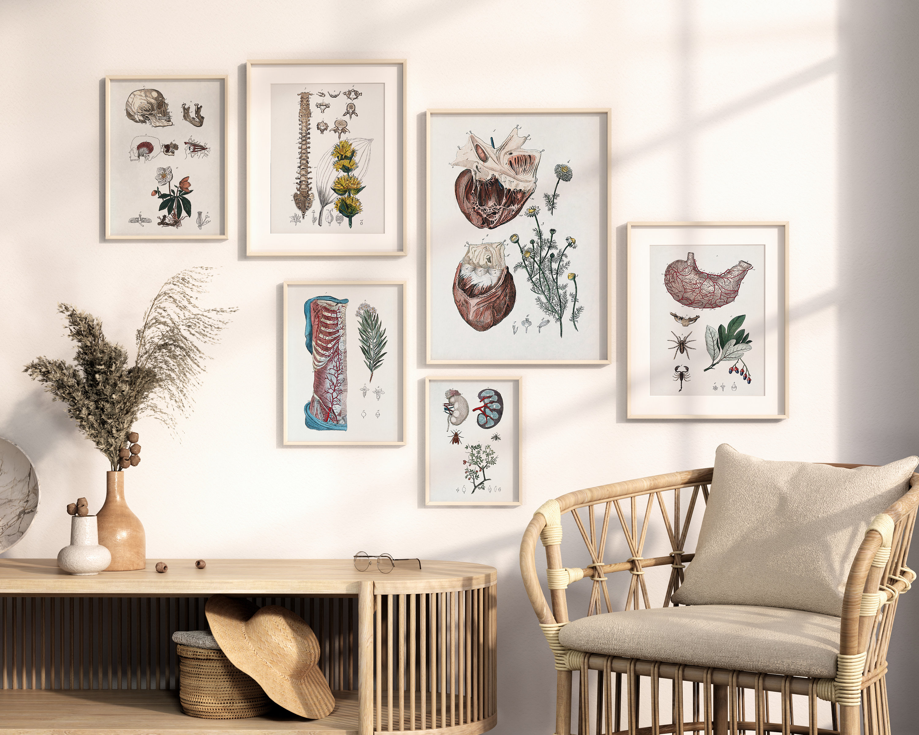 Digital Download Print | Gallery Wall Art Set Vintage Human Anatomy ...