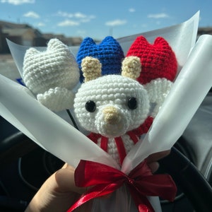 Ramo de crochet Chivita