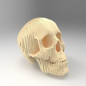 Modello di taglio vettoriale per scultura di teschio umano, scultura di teschio in cartone, scultura anatomica, teschio tagliato al laser, parametrico, file cdr