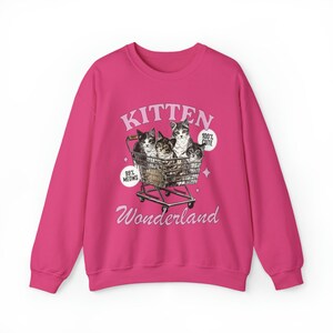 Puede incluir: Sudadera rosa con un gr&aacute;fico de gatitos en un carrito de compras. El texto en la sudadera dice "Kitten Wonderland" y "99% Meows" y "100% Cute".