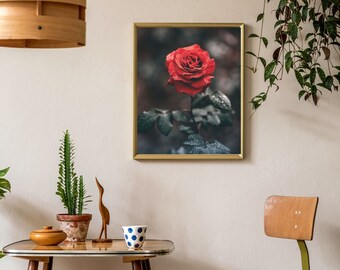 flower posters, download wall art, Rose art , flowers wall art, flower print, rose photo, red rose printable wall art, printable flowers