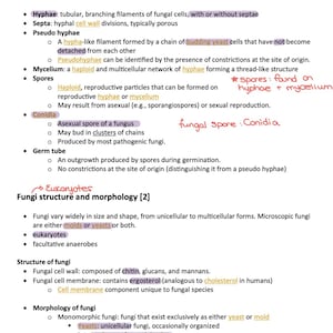 Appunti dell'esame di microbiologia
