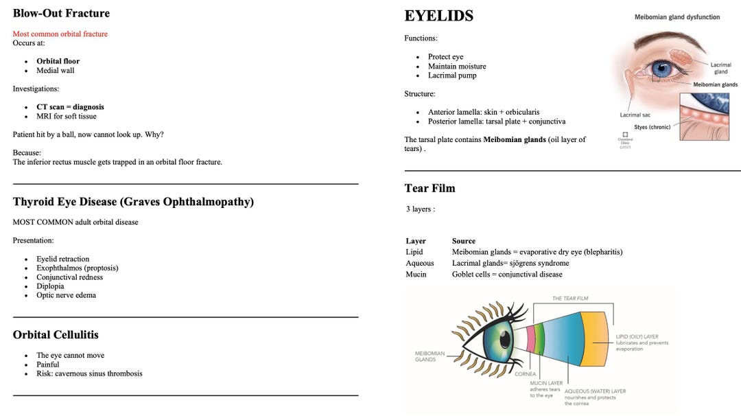 Ophthalmology Notes - Etsy