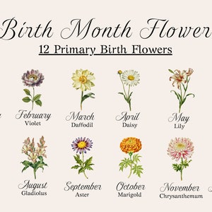May include: A chart showing the 12 primary birth month flowers. Each month is represented by a flower with its name listed below. The flowers are illustrated in a vintage style.