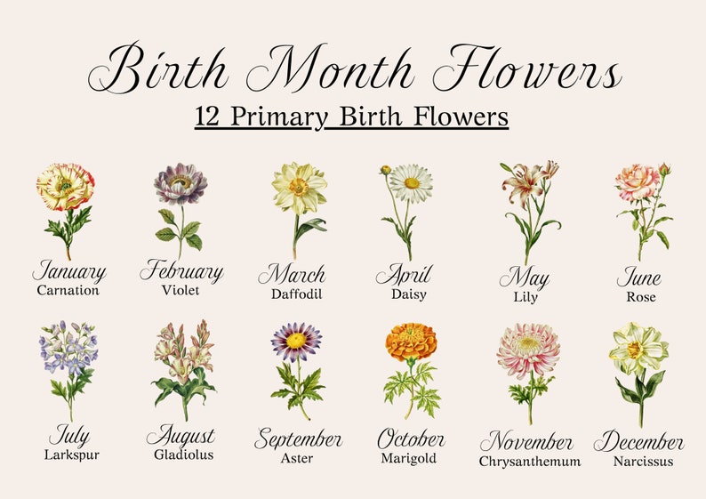 May include: A chart showing the 12 primary birth month flowers. Each month is represented by a flower with its name listed below. The flowers are illustrated in a vintage style.