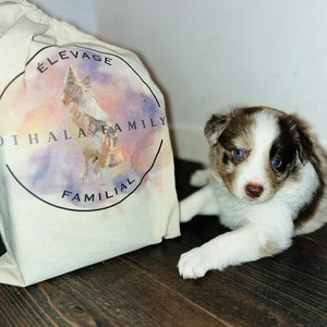 Sac pour élingue rétro pour animal de compagnie, élingue pour chien, sac de  voyage pour animal de compagnie