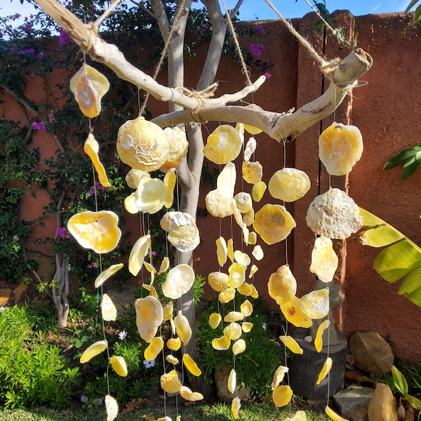 Yellow shell wind chime, wind mobile, driftwood and shell, beach, eco decoration, unique design, unique shell item