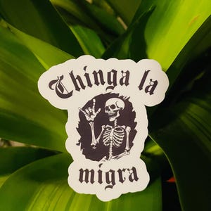FUCK ICE sticker - Chinga La migra sticker - FUCK la migra sticker -*vinyl sticker* & water resistant image 2