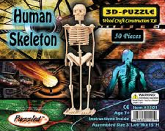 The Human Skeleton Model Wood Craft Construction Kit by 3D Puzzle Etsy
