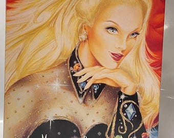 Vintage Barbie Winter Princess Dolls Collection - Midnight Princess Limited Edition