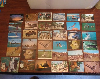 Colección de 37 postales antiguas de animales del mundo: turísticos y emblemáticos