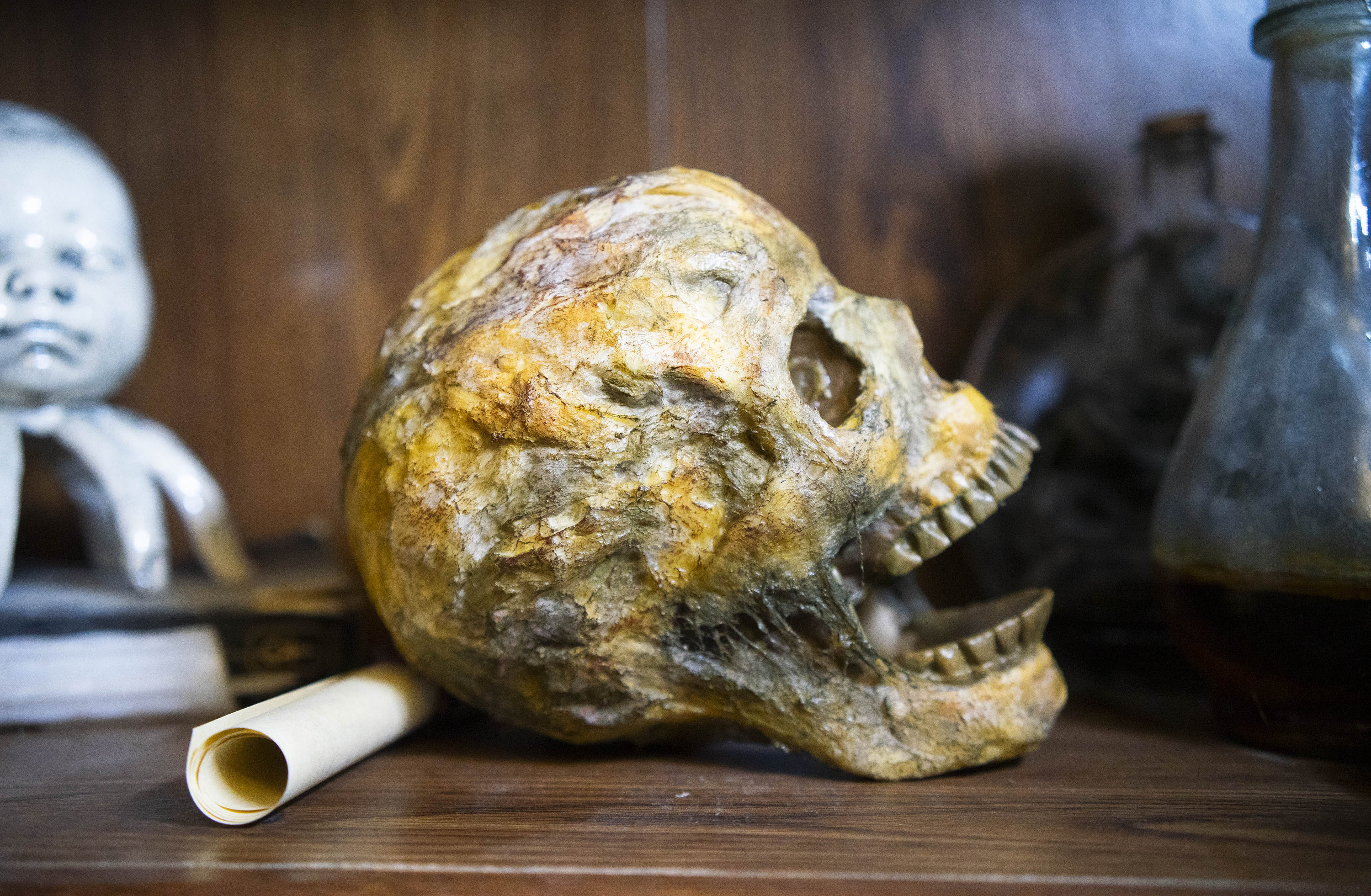 ミイラの頭蓋骨 - エジプトの遺物 ミイラの装飾 - 不気味な不気味な