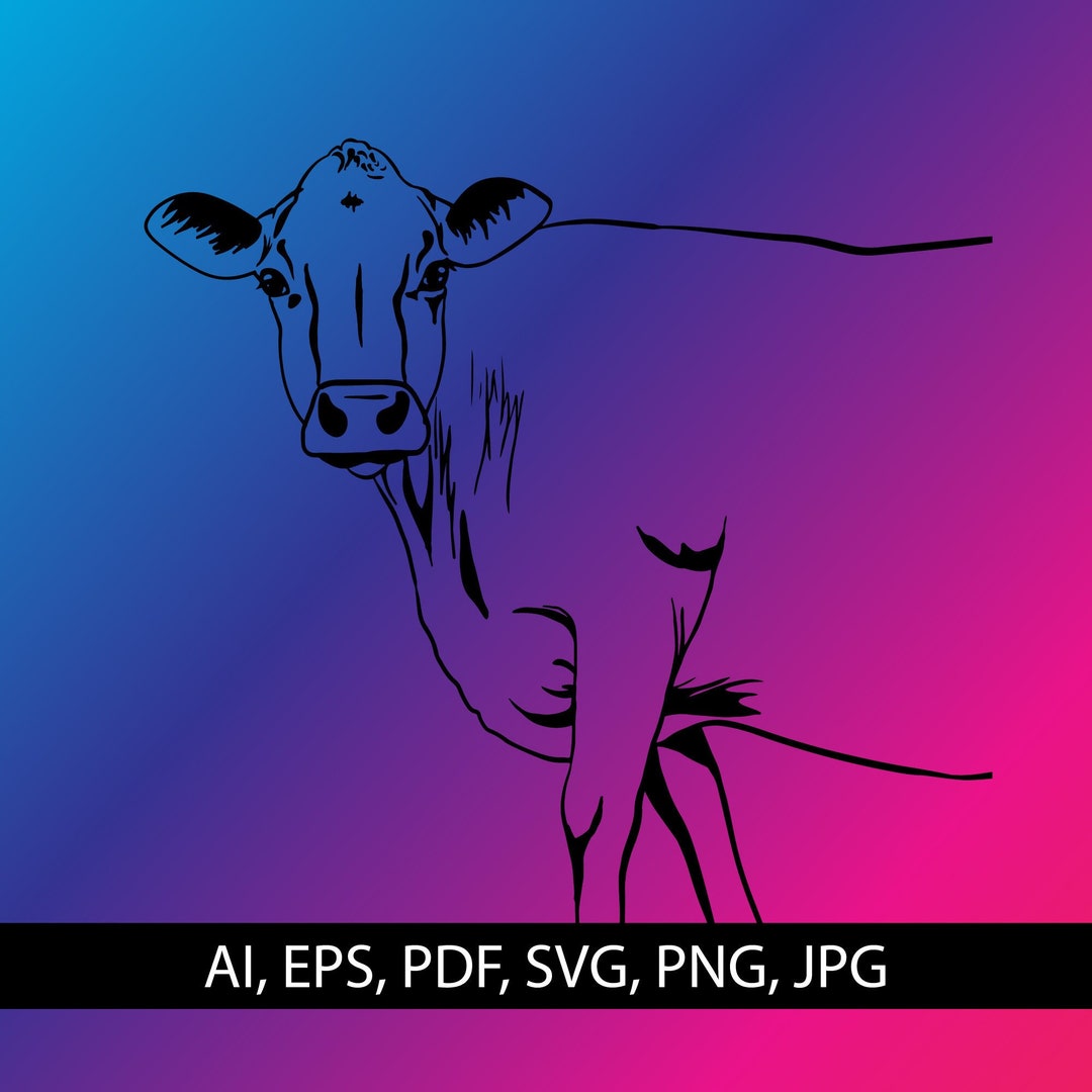 Jersey Cow Drawing VECTOR Ai, Png, Eps, Pdf, Jpg, Svg Instant Download