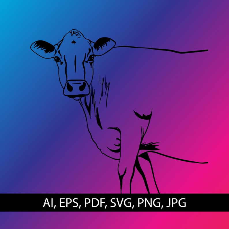 Jersey Cow Drawing VECTOR Ai, Png, Eps, Pdf, Jpg, Svg Instant Download