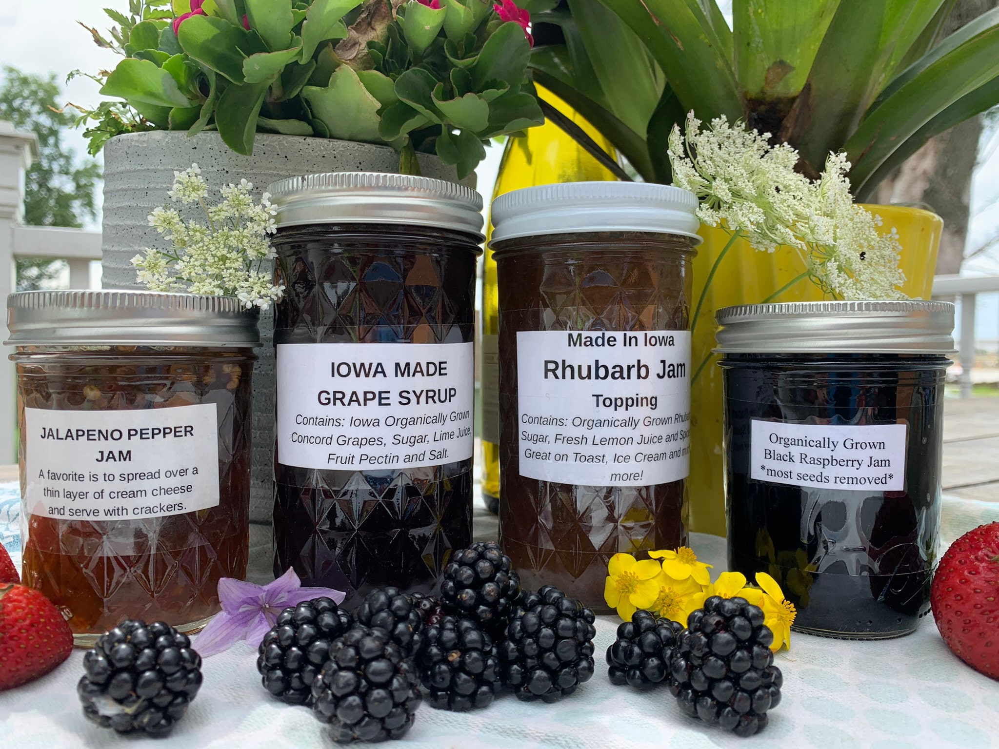 NF×JAM HOME MADE il_fullxfull.4183196213_td4u.jpg